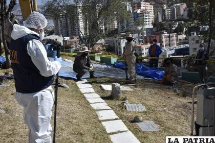 El trabajo será desarrollado íntegramente por el IDIF / APG