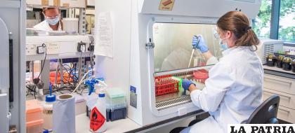 Varios laboratorios en el mundo trabajan en procura de obtener la vacuna