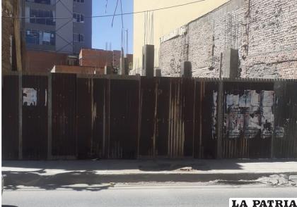 El árbol habría sido talado el fin de semana /VECINOS