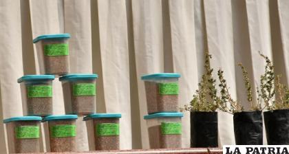 Productos en base el Qawchi y semillas halófitas /gador