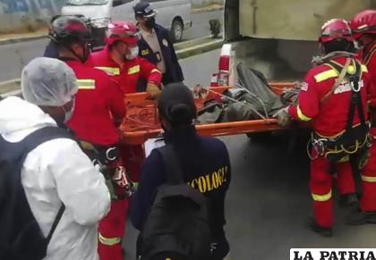 El cadáver desmembrado fue encontrado por una niña que buscaba a su gato /APG