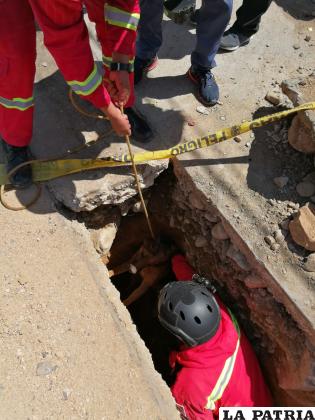 Personal bomberil rescató a un can atrapado en una zanja /Policía