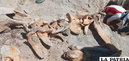 Restos hallados en la plaza de Armas de Uyuni /LOS TIEMPOS