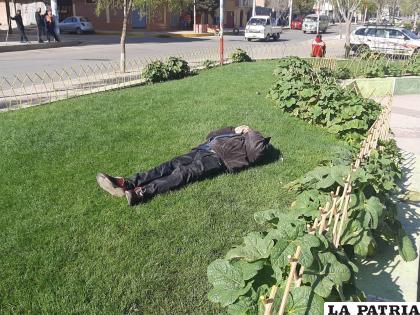 Murió en la jardinera central de la avenida Al Valle y calle 2 /LA PATRIA