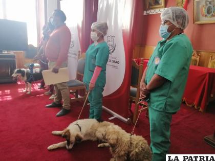 Perritos rescatados por el Relleno Sanitario /LA PATRIA