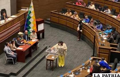 La Asamblea fue convocada para hoy en la que se elegirá al Defensor del Pueblo /PAGINA SIETE 