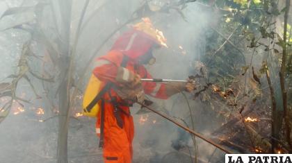Voluntarios intentan sofocar el fuego que consume el parque Iténez / La voz del Beni