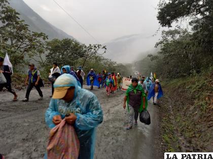 Día lluvioso en la segunda jornada de caminata en el grupo de cocaleros de Sur Yungas /LA PATRIA

