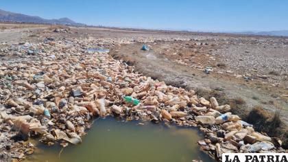 Vuelve a acumularse plásticos en el Lago Uru Uru/ LA PATRIA ARCHIVO
