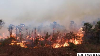 Incendios forestales afectaron en cuatro departamentos de Bolivia / Archivo /ABI