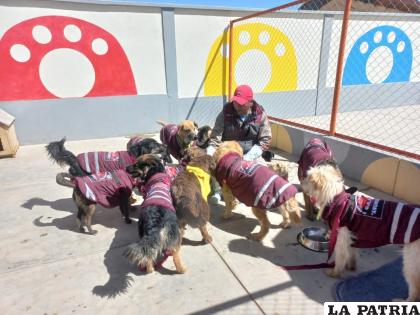 Albergue Municipal de Mascotas â€œAngelinoâ€ 
/LA PATRIA