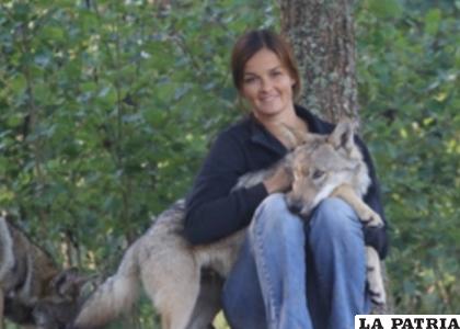 Investigadores analizan comportamientos de los lobos / GETTY