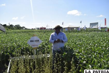 Varios productores piden implementar la biotecnología en el país /LA PATRIA Archivo