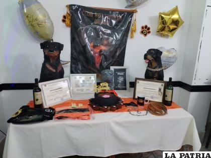 Club Rottweiler Oruro promueve la crianza digna y responsable de esta raza /LA PATRIA