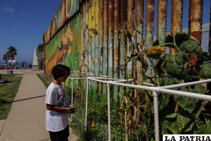 Una persona visita del Parque Binacional de la Amistad /EFE