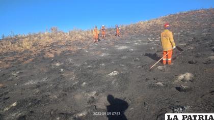 Personal del SAR lograron sofocar el incendio /Cortesía
