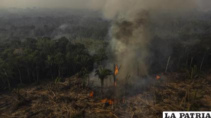 Incendios causados en la selva amazónica, en el municipio de Manaquiri cerca de Manaos, estado de Amazonas (Brasil) /EFE