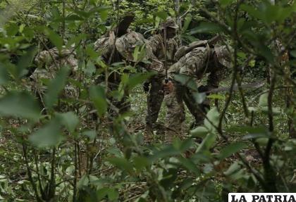 Efectivos militares y policiales erradican plantaciones de coca ilegal /El Deber