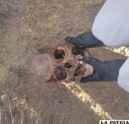 El cráneo fue encontrado a 50 metros del cuerpo /Felcc