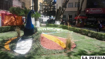 Imponente pavo real adorna la plaza Castro y Padilla /LA PATRIA