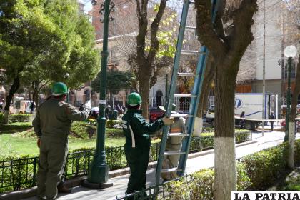 En la ciudad se anuncia inicio de Campaña de Forestación 2023-2024 /GAMO  
