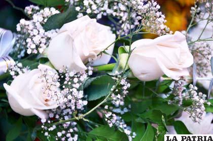 Rosas blancas, símbolo de pureza