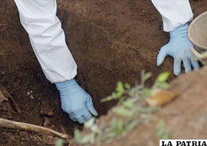 Uruguayos confirmaron el hallazgo de restos humanos en un cuartel del Ejército