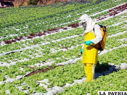 Los gobiernos deben revisar el uso de plaguicidas en la agricultura para evitar negativos efectos contaminantes