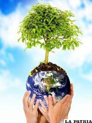 Acciones prácticas y simples de aplicar ayudarán a preservar el medio ambiente