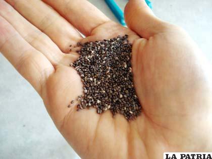Las semillas de chía son poderosas antioxidantes