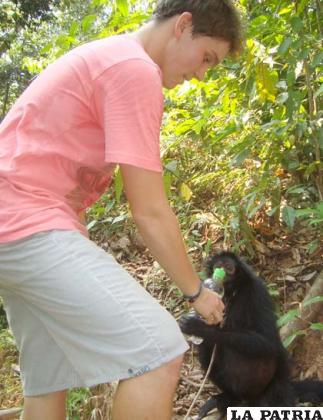 Monos que antes eran mascotas y ahora viven en libertad