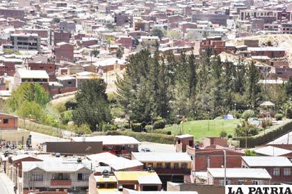La vegetación alta, media y baja es fundamental para la sustentabilidad ecológica de la ciudad de Oruro