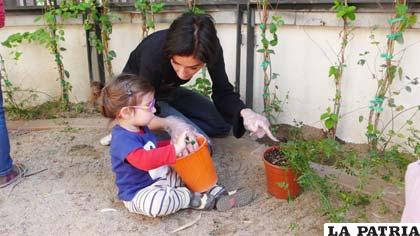 Puedes obtener un bello jardín sin contaminar el medio ambiente