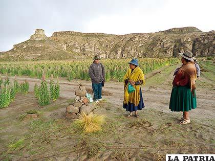 Lugar de conflicto entre Oruro y Potosí por siembra de quinua