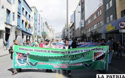 Cocaleros de Caranavi marchan en La Paz