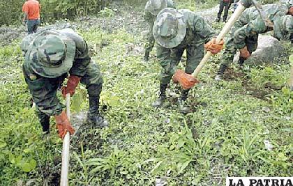 La erradicación de la coca ilegal es una misión peligrosa para los uniformados