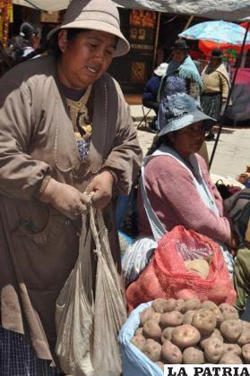 Arroba de papa se oferta entre 40 y 60 bolivianos