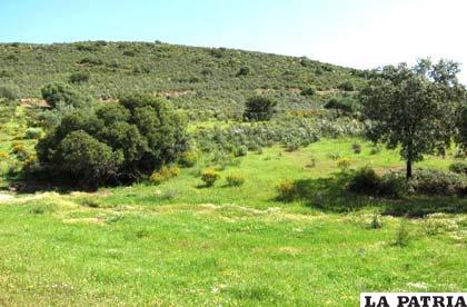En una serranía cruceña se prospecta un yacimiento de uranio, otro avance en la minería oriental
