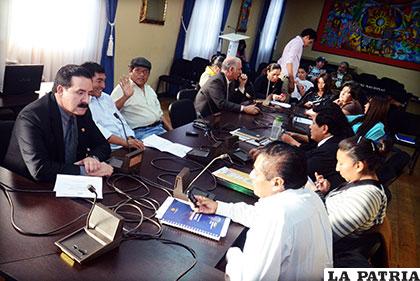 La Comisión Mixta de Constitución de la Asamblea Legislativa Plurinacional /APG