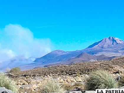 Se debe reponer la biodiversidad que habitaba en el sector quemado del Thunupa