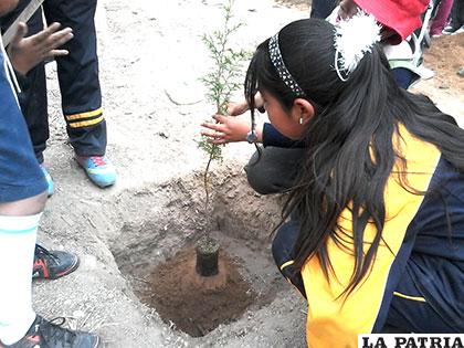 La única forma de contrarrestar la contaminación ambiental es plantando árboles