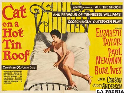Afiche del filme 