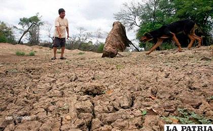 Algunos municipios de Tarija sufren de sequía como en 2012 /anbolivia.blogspot.com