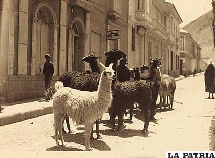 Imagen antigua de la ciudad de Oruro 
(Foto: Miguel Irigoyen Castro)