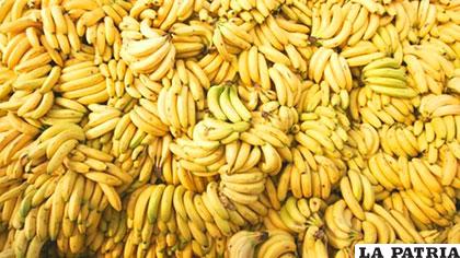 Bananas que podrían ser afectadas por una peste