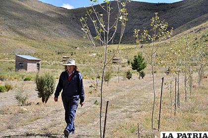 Edgar Fronchen, miembro de la FOCC, plantó 1.200 árboles en Chusaqueri