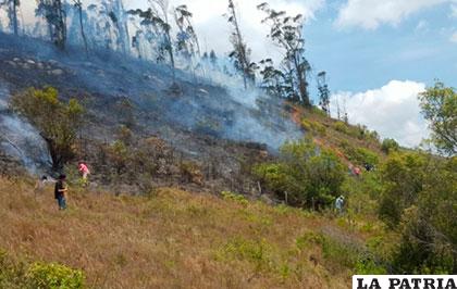 30 hectáreas de vegetación fueron afectadas por el incendio /ANF