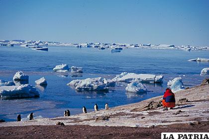 Las naciones antárticas acordaron la firma de este tratado para garantizar la protección del medio ambiente antártico