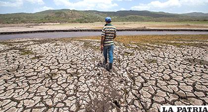 Los cálculos indican una pérdida aproximada de 247 millones de dólares por la sequía /PANAMERICANA.COM