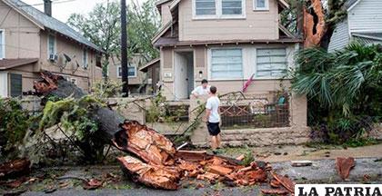 Un árbol caído junto a una vivienda en Daytona Beach, Florida